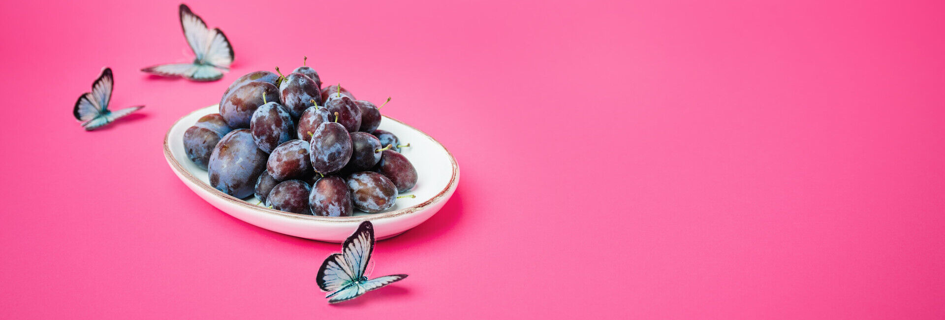 Zwetschgen: Erleben Sie Ihr blauviolettes Wunder