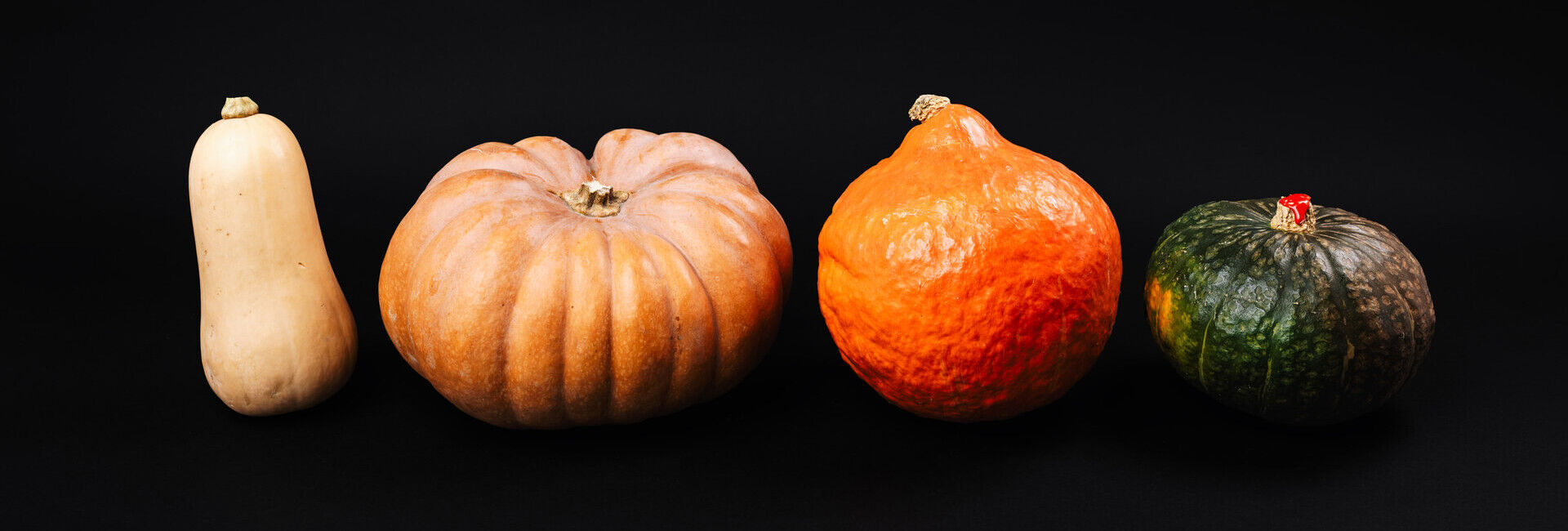 Der Kürbis - ein vielseitiges Multitalent mit Geschichte
