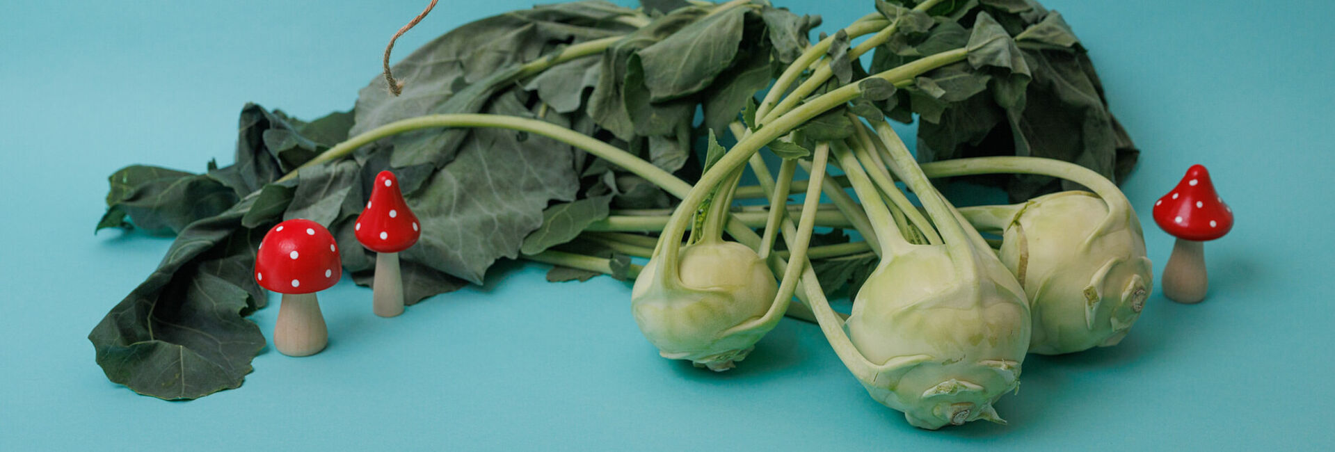Kohlrabi – die tolle Knolle