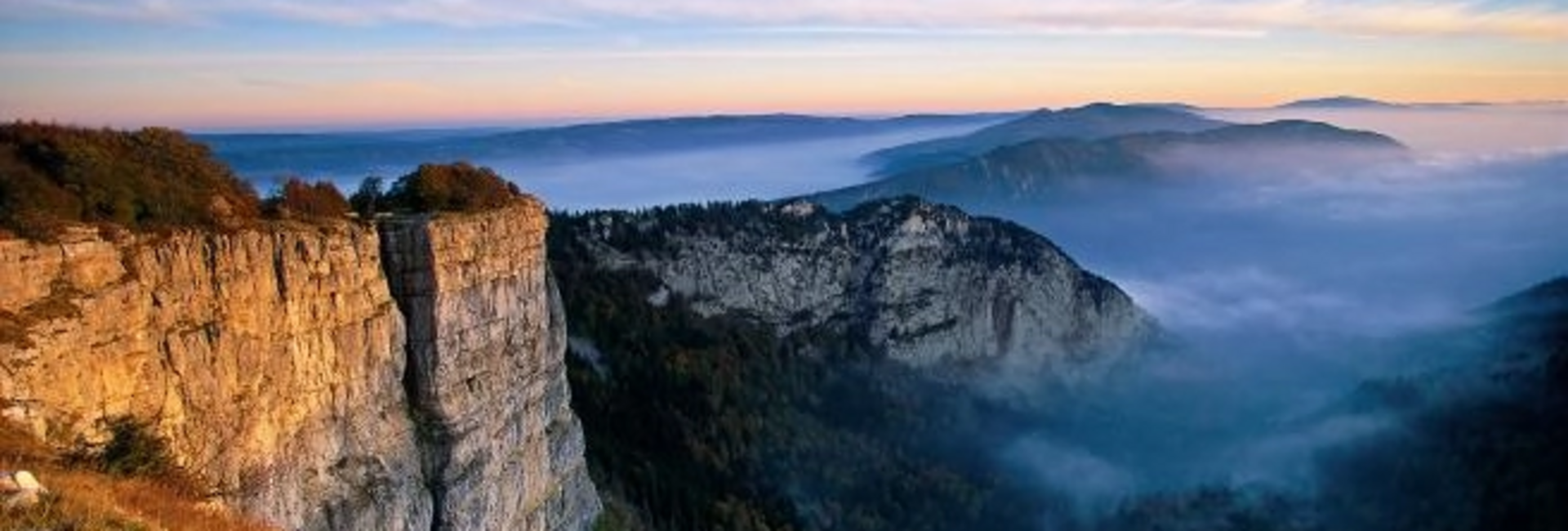 Im Reich der Grünen Fee